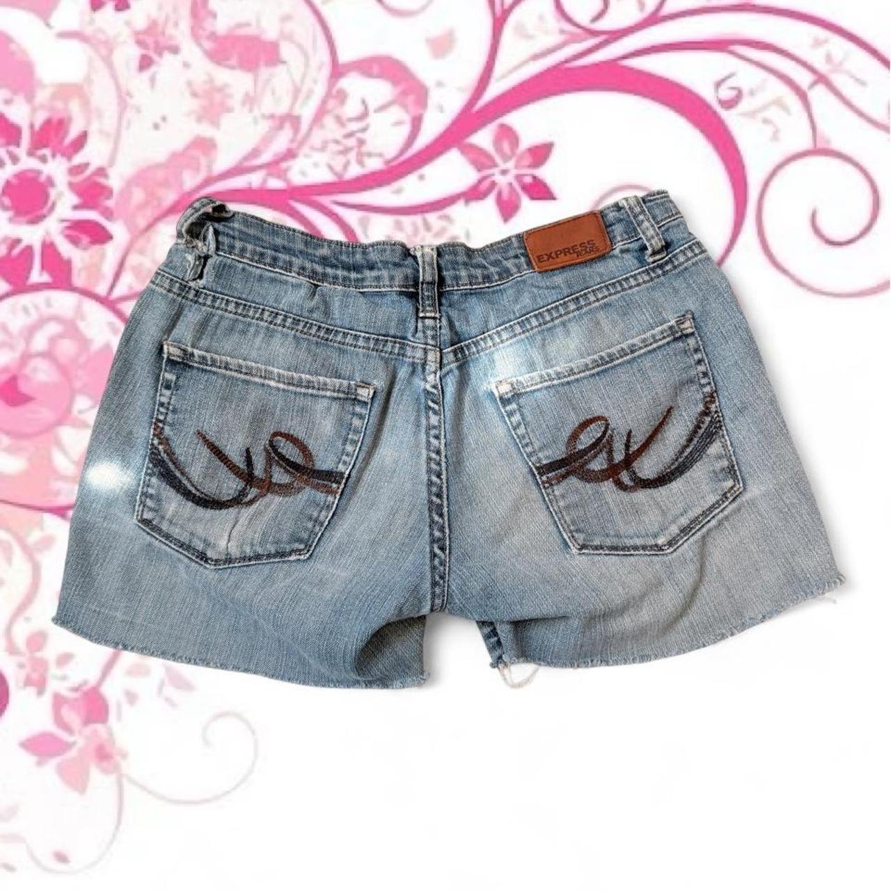 Express Embroidered Denim Shorts